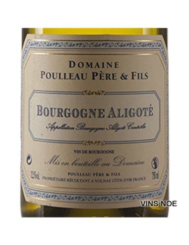 Domaine Poulleau Bourgogne Aligoté 2023