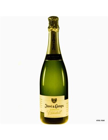 Juvé &amp; Camps Essential Xarel·lo Brut Reserva 2019