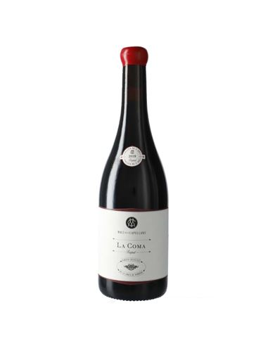 Molí dels Capellans La Coma 2022