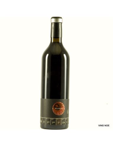 Microvins* Syrah 2020