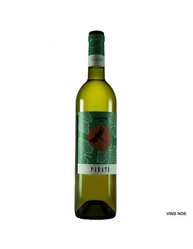 Parató Xarel·lo 2024