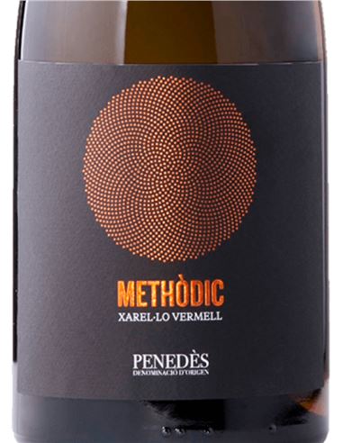 L'Apical Methòdic 2022