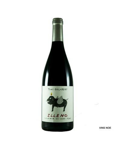 Toni Gelabert Illenc 2019