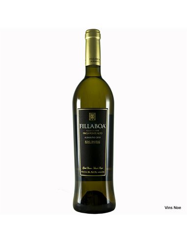 Fillaboa Selección Monte Alto 2021