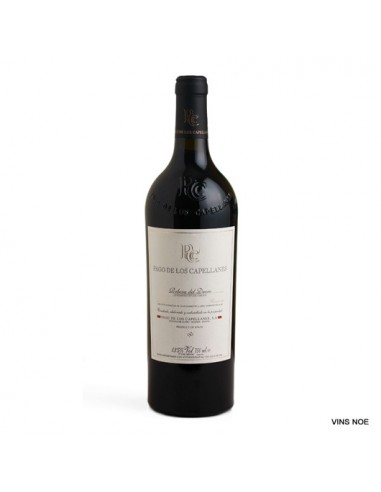 Pago de los Capellanes Reserva 2021