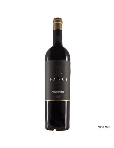 López Cristóbal Bagús 2020