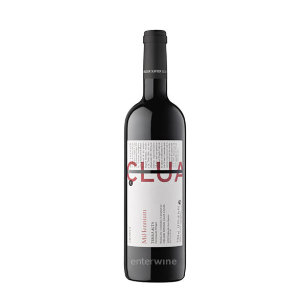 Clua Mil·lenium Negre Criança 2017