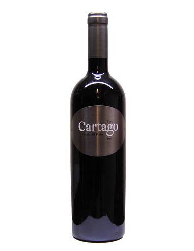 San Román Cartago Paraje del Pozo 2017