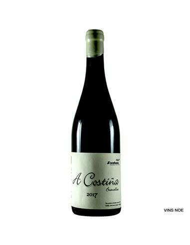 Alan de Val A Costiña Brancellao 2018