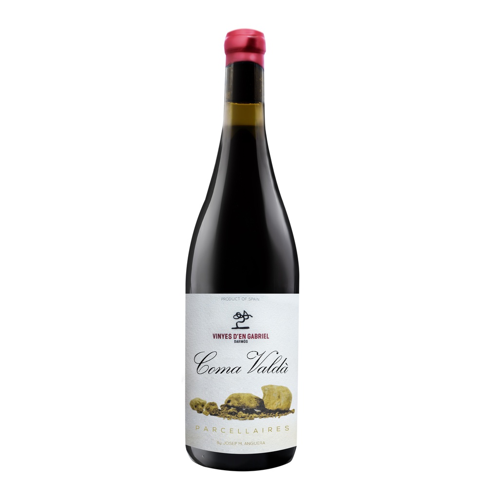 Vinyes d'en Gabriel Coma Valdà 2020