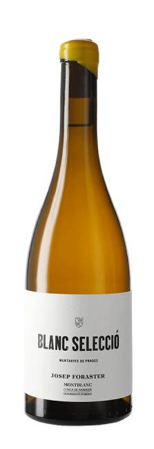 Josep Foraster Blanc Selecció 2024