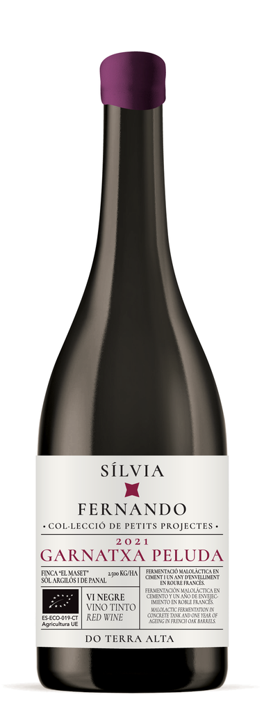 Silvia * Fernando Negre 2021