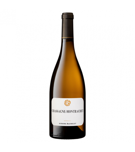 Aurore Bachelet Chassagne Montrachet Blanc 2023