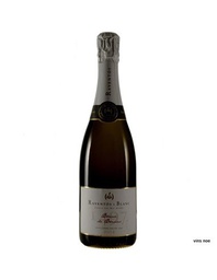 [CAV0391ESB01] Raventós i Blanc Blanc de Blancs 2022