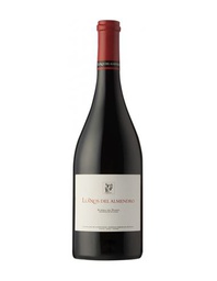 [RDU0590NEG09] Dominio de Atauta Llanos del Almendro 2017