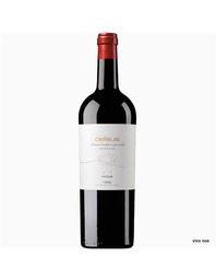 [TOR0245NEG12] Vetus Celsus 2021