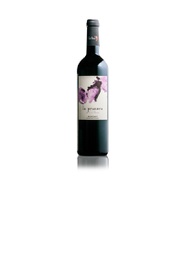 [MTS1139NEG02] Celler Cal Bessó La Prunera 2019